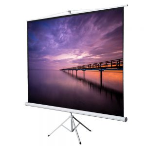 Portable Projector Screen